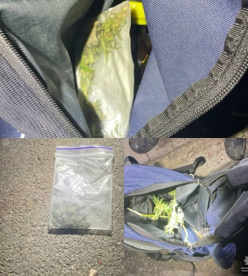 На Волині викрили «конопельного барона»: заробляв по 100 тисяч на місяць (фото, відео)