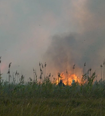 Сильні пожежі на Полтавщині: горять житлові будинки (ФОТО)