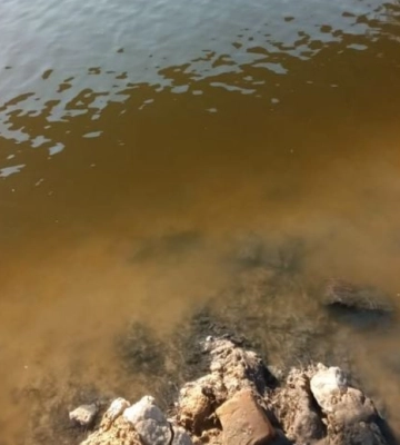 В реке Сейм снова ухудшилось состояние воды