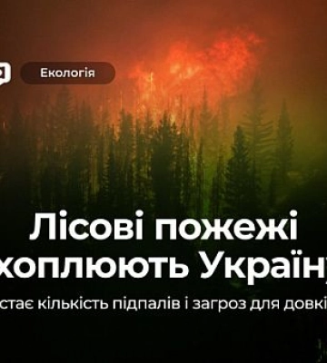 Массовые пожары по Украине: в каких областях страны самая сложная ситуация