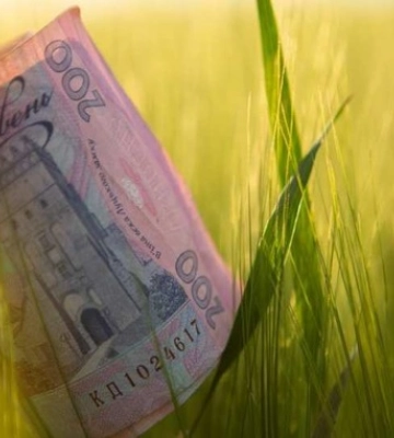 Дотації на гектар: обсяг заявок перевищив 900 млн грн