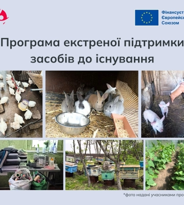 Домогосподарства із Запорізької області можуть отримати екстрену фінансову допомогу: міжнародні партнери запустили програму&amp;hellip;