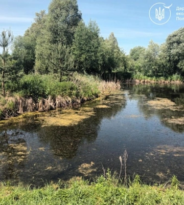 На Рівненщині чоловік самовільно викопав ставок поблизу власного помешкання