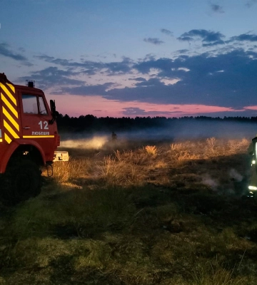 Боронували трактором, щоб пожежа не розповсюдилась: на Волині горіла суха трава та торф