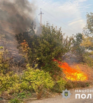 Вибух російської авіабомби викликав лісову пожежу під Краматорськом