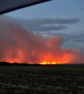 На окупованій Луганщині вирують масові пожежі: загарбники ввели режим надзвичайної ситуації