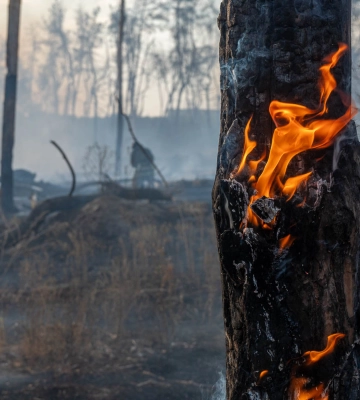 У Харківській області борються з 14 пожежами