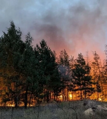 На ліси Сумщини з дронів скидають бляшанки із запальною сумішшю 