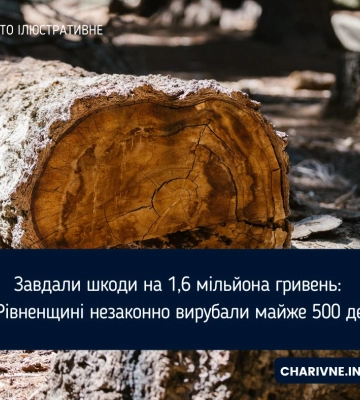 Завдали шкоди на 1,6 мільйона гривень: на Рівненщині незаконно вирубали майже 500 дерев