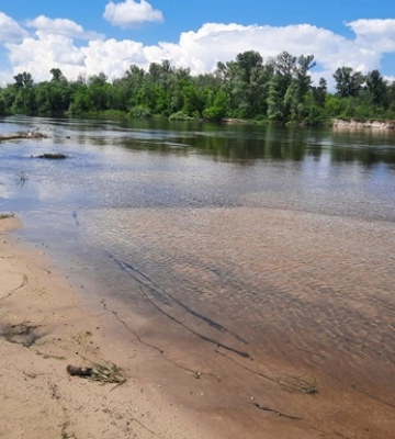 В Десне под Киевом зафиксировали рекордно низкий уровень воды