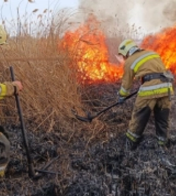 У Рівному та районі рятувальники ліквідували пожежу та надали допомогу жителям