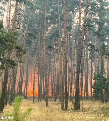 Пожежі на Харківщині: оперативна інформація від ДСНС на 19 вересня