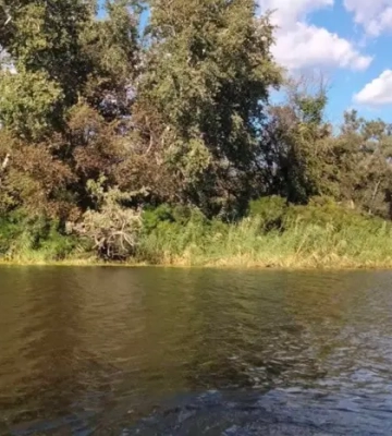 Міндовкілля повідомило про якість води у Десні та Сеймі