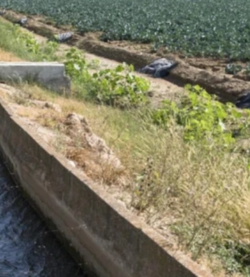 На Одещині підприємець під виглядом очищення водного каналу займався незаконним розведенням риби