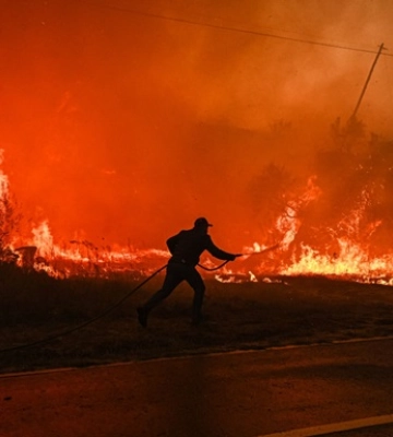 50 гектарів лісу згоріло на Сумщині за добу