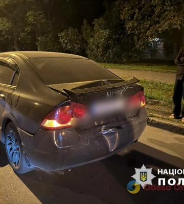 В Одесі водій легковика врятував їжачка та отримав удар у зад від маршрутки