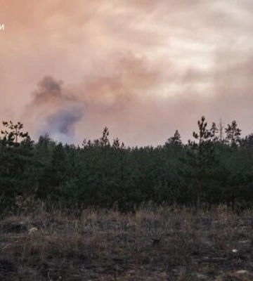 Локалізовано масштабну лісову пожежу на Лиманщині, - ДСНС. ФОТОрепортаж
