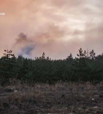 Масштабный лесной пожар в Донецкой области локализовали