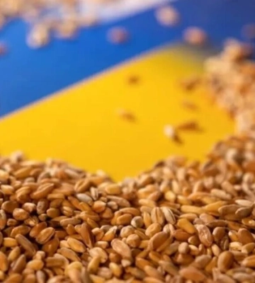 Україна зазнала збитків на понад 30 млрд грн, через привласнення Росією зерна, - Офіс генпрокурора