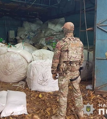 Підпільно вирощували та заготовляли тютюн: на Тернопільщині судитимуть злочинну групу (ВІДЕО)