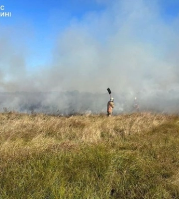 Винуватець втік: на Ратнівщині горіли суха трава та чагарники 