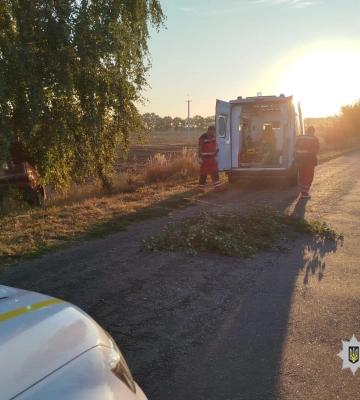 На Черкащині автомобіль в’їхав у дерево: водій загинув