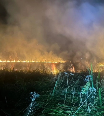 Винуватець втік: на Ратнівщині горіли суха трава та чагарники 