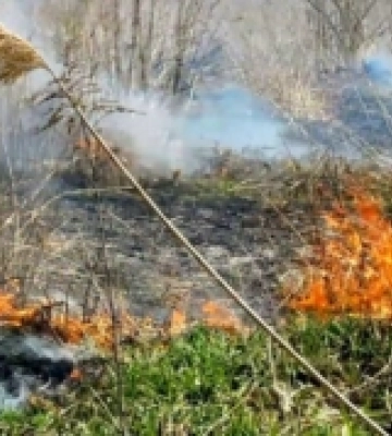 У межах Острога вигоріло пів гектара сухої трави