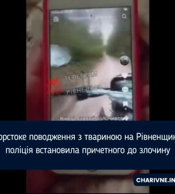 Жорстоке поводження з твариною на Рівненщині: поліція встановила причетного до злочину