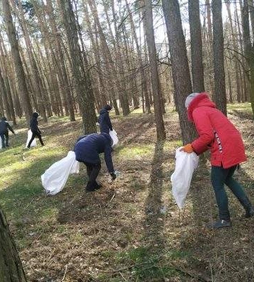 Миколаївців запрошують на толоку у Балабанівському лісі
