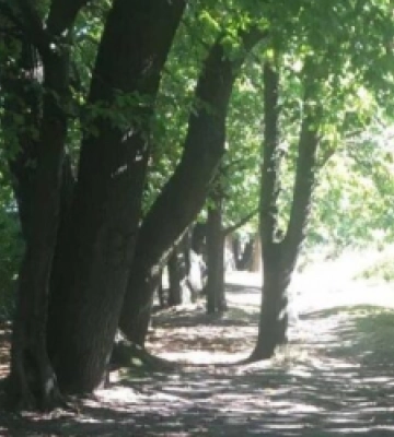 У селі біля Львова створять перший сквер. Це захистить територію від можливих забудов