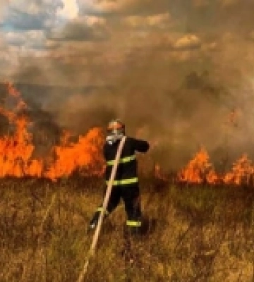 Масштабні пожежі на Полтавщині: як впливають на людей, тварин та довкілля