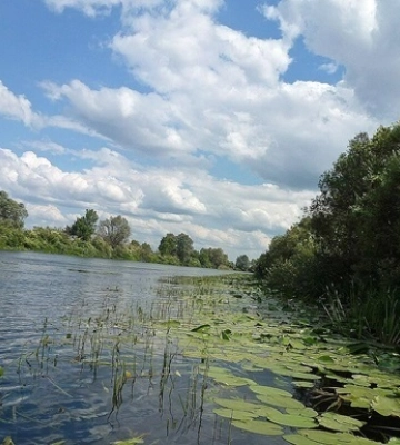 В Минприроды оценили качество воды в трех областях