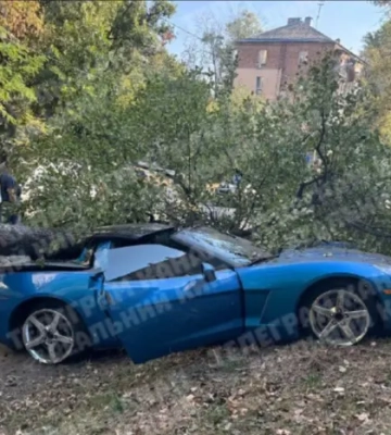 На Олени Теліги дерево впало на дорогий спорткар (відео)