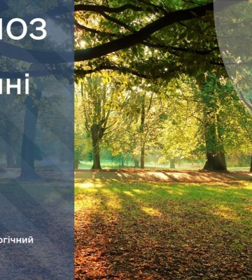 УкрГМЦ попереджає про пожежну небезпеку: де саме?