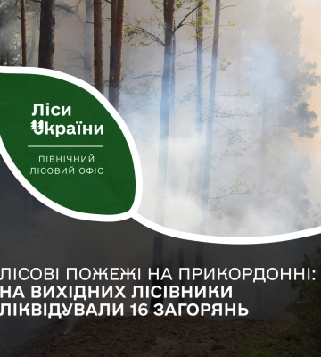 Лісові пожежі на прикордонні Сумщини: за 4 дні вигоріло 123 га лісу