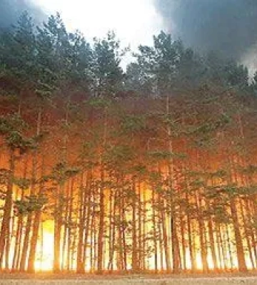 У Харкові чути вибухи - мер