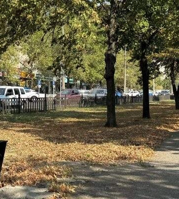 Жителі Миколаєва скаржаться на відсутність лавок на проспекті Центральному