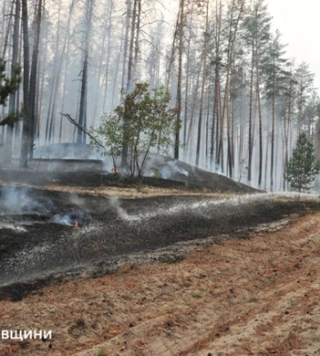 В Харьковской области пожары за неделю уничтожили около 2300 гектаров