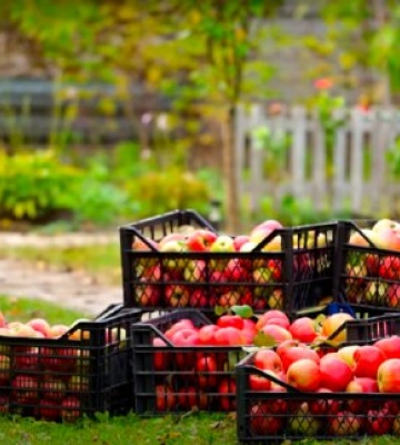 Берите сумки на продукты: всех, кто живет в Киеве обеспечат едой - даты, адреса и графики