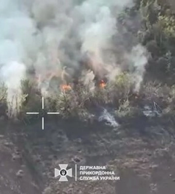 Сили оборони виявили у посадці ворожу піхоту і знищили позиції окупантів вщент. ВIДЕО
