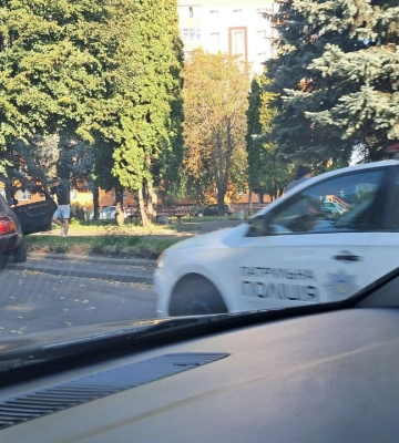 У Рівному на шести вулицях обрізали гілля дерев