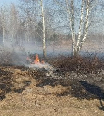 З початку року  поліція &quot;спіймала&quot; понад 130 паліїв трави та сміття на Полтавщині