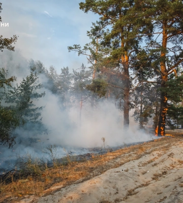 Рятувальники ліквідували масштабну лісову пожежу у лісництві на Донеччині