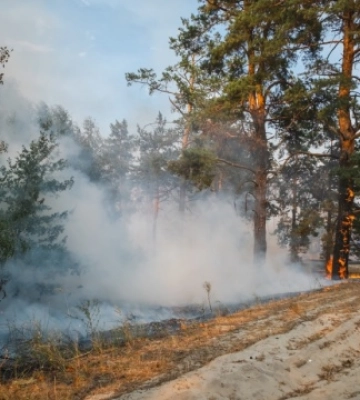У Лиманському лісництві загасили пожежу, що тривала дев’ять днів