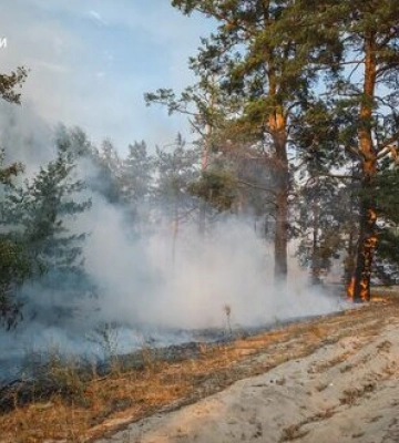 Рятувальники ліквідували масштабну лісову пожежу у лісництві на Донеччині