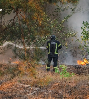 Рятувальники ліквідували масштабну лісову пожежу у лісництві на Донеччині