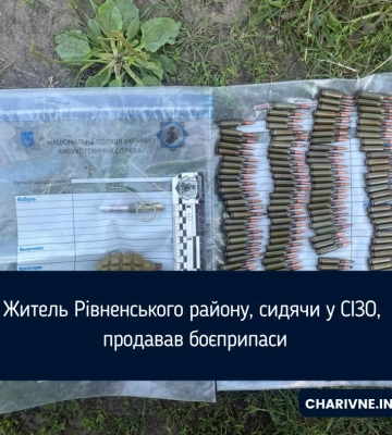 Житель Рівненського району, сидячи у СІЗО, продавав боєприпаси