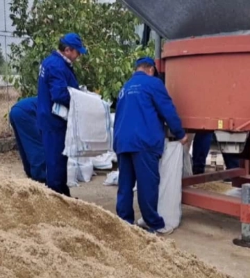 У Румунії почали приготування до високої води на Дунаї