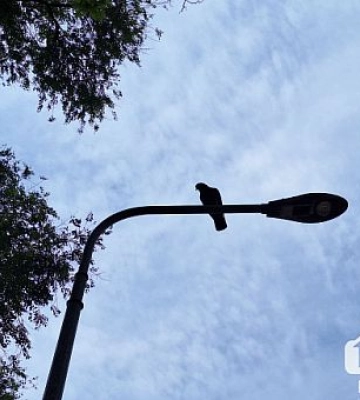 У Дніпропетровській області промисловий гігант заявив про масштабне скорочення виробництва
